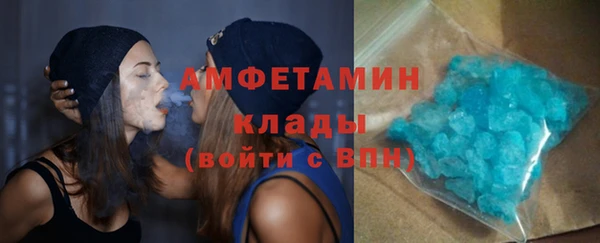 трава Пересвет