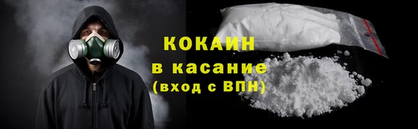 трава Пересвет