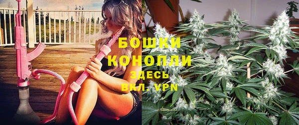 молекула духа Пестово