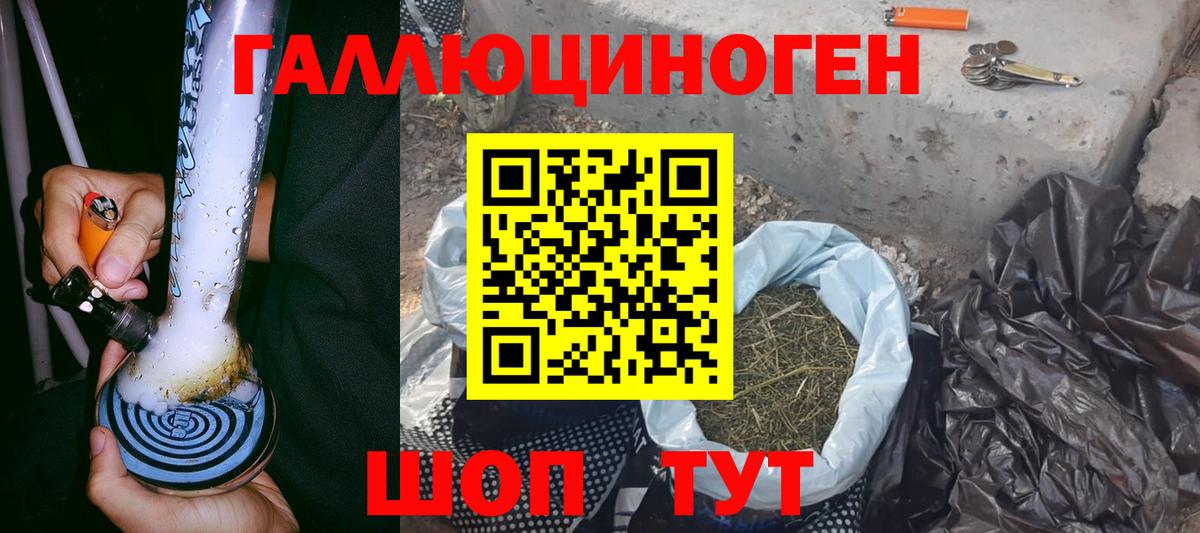 Псилоцибиновые грибы GOLDEN TEACHER Бугуруслан