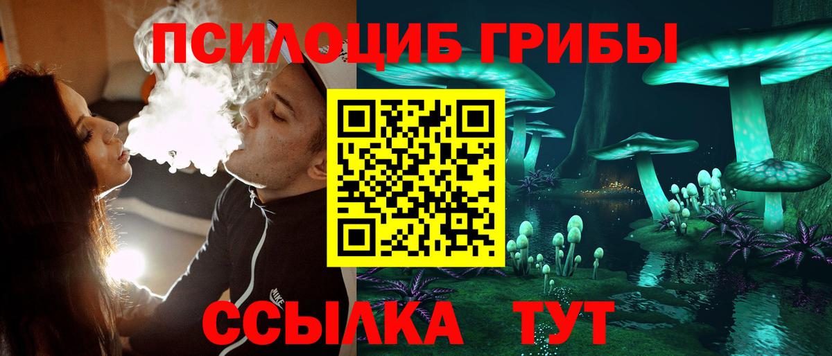 Бугуруслан  Псилоцибиновые грибы Cubensis  Вход с VPN 