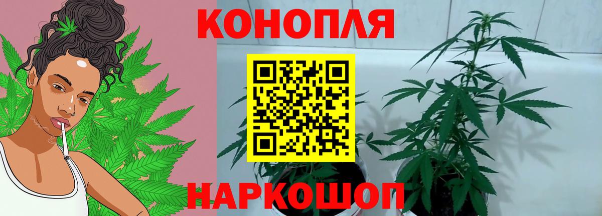 Конопля SATIVA & INDICA  Бошки Шишки конопля  Вход с VPN  Конопля индика  Бошки марихуана SATIVA & INDICA  Бугуруслан 